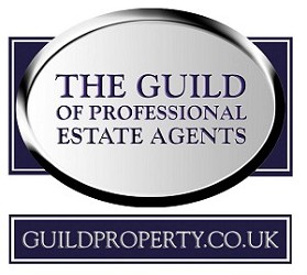 Guild of Prof EA