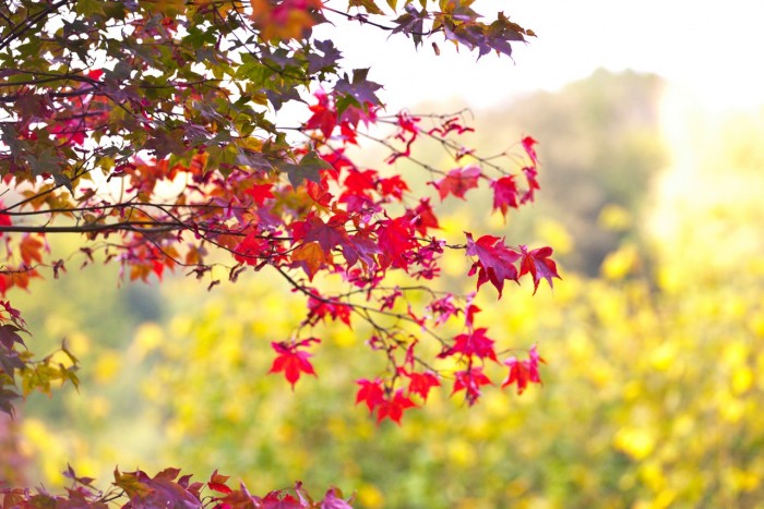 Winkworth-16