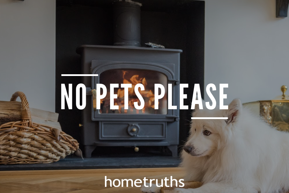 A white furry dog in front of a fireplace